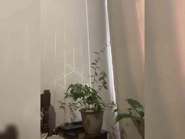 Danozka webcam