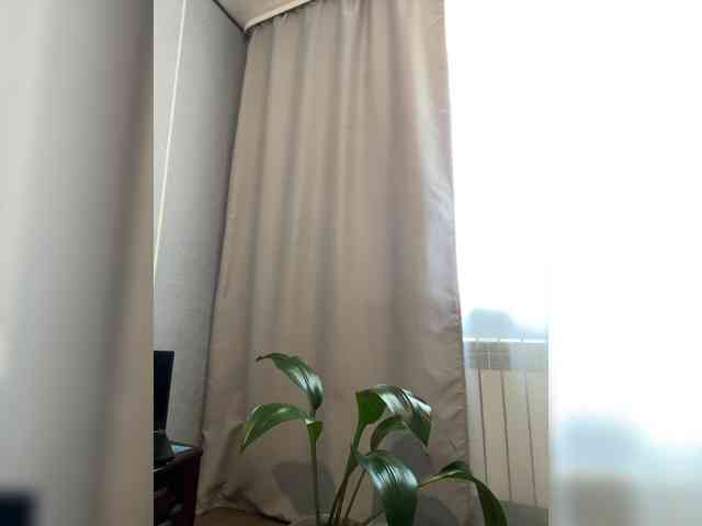 Danozka webcam