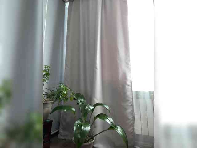 Danozka webcam