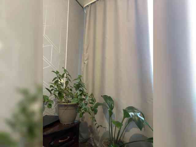 Danozka webcam