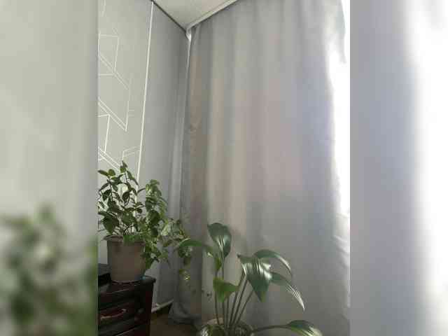 Danozka webcam