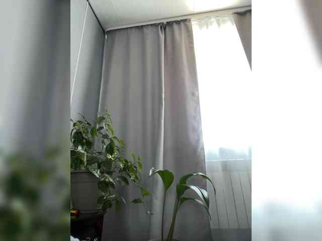 Danozka webcam