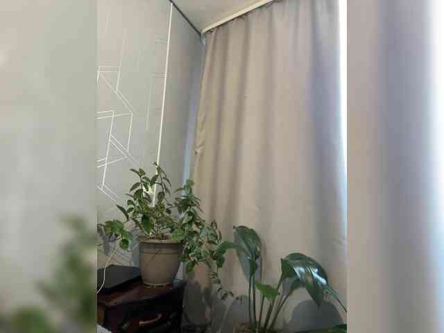Danozka webcam