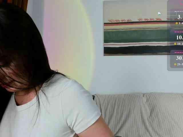 Ann-Sweer webcam