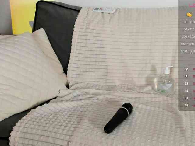 Ann-Sweer webcam