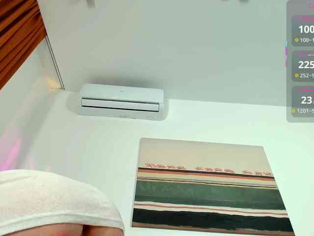 Ann-Sweer webcam