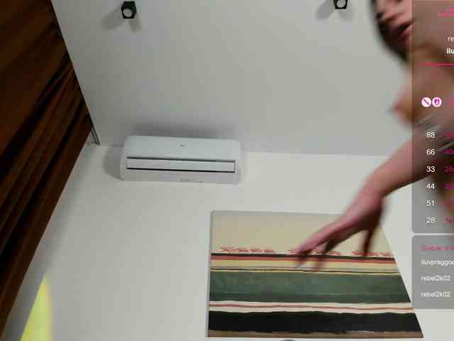 Ann-Sweer webcam