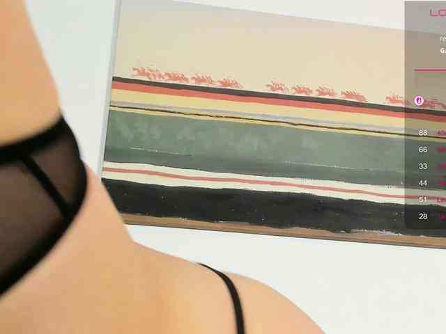 Ann-Sweer webcam