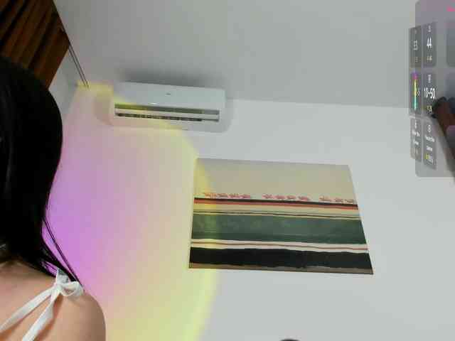 Ann-Sweer webcam