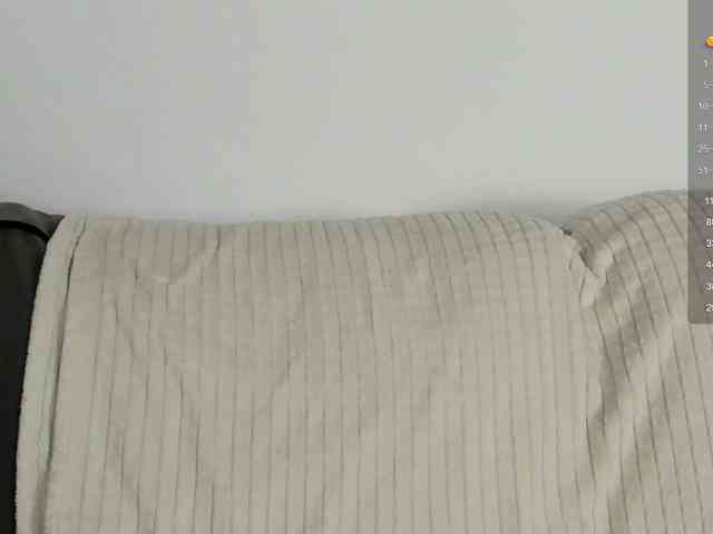Ann-Sweer webcam
