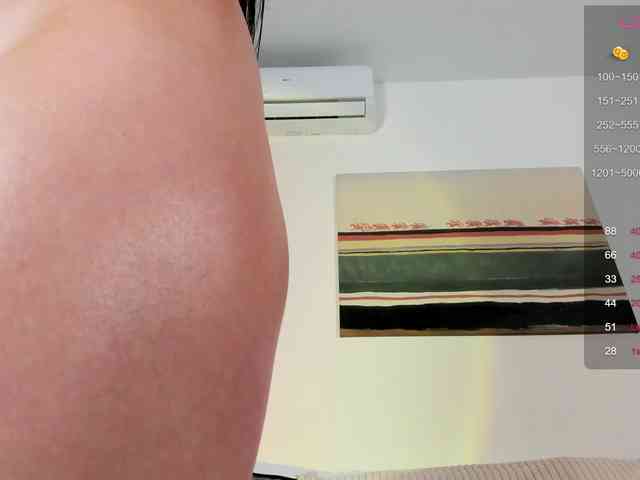 Ann-Sweer webcam