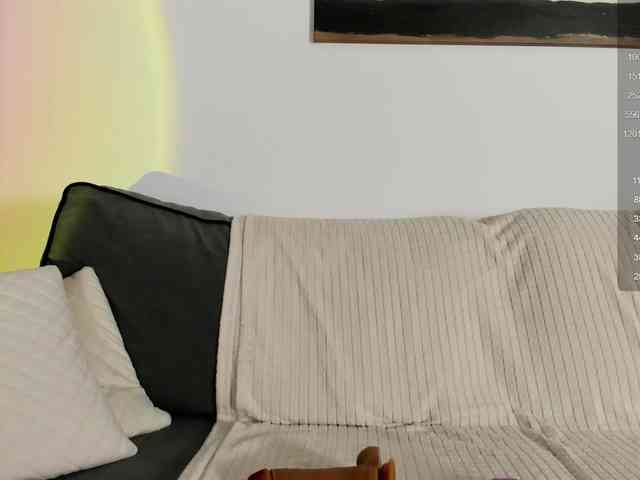 Ann-Sweer webcam