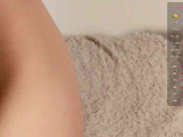 Ann-Sweer webcam