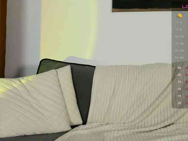 Ann-Sweer webcam