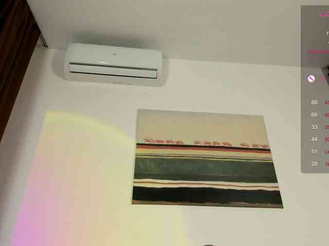 Ann-Sweer webcam
