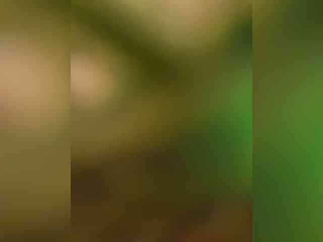 Svetochekk webcam