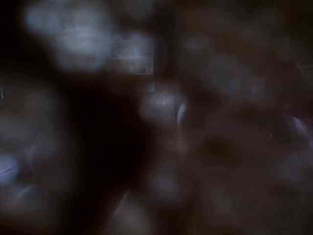 SinfulWhisper webcam