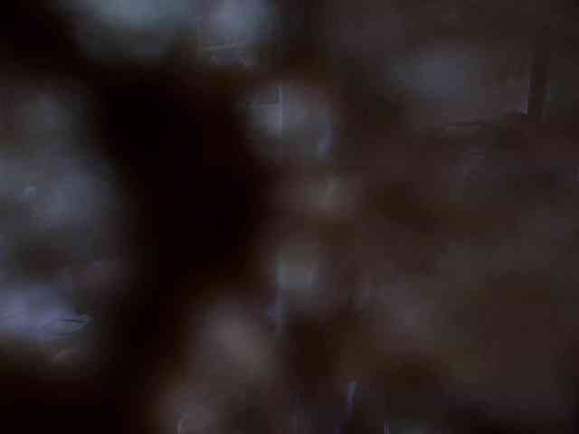 SinfulWhisper webcam