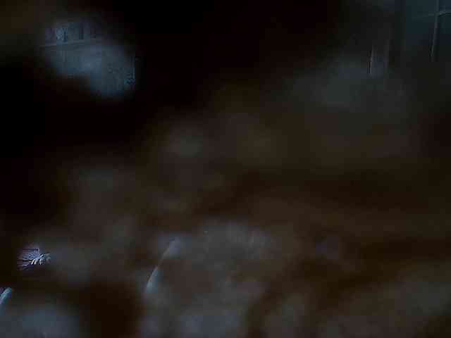 SinfulWhisper webcam