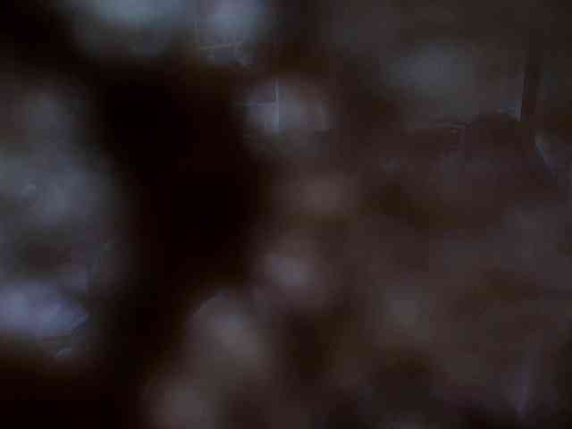 SinfulWhisper webcam