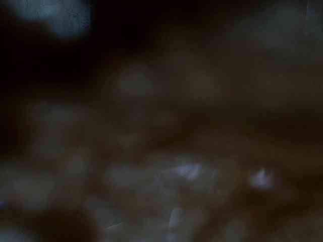 SinfulWhisper webcam