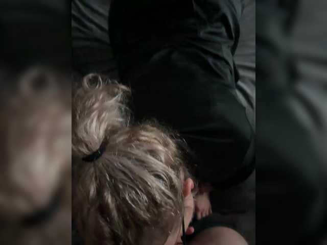 Perverse-family