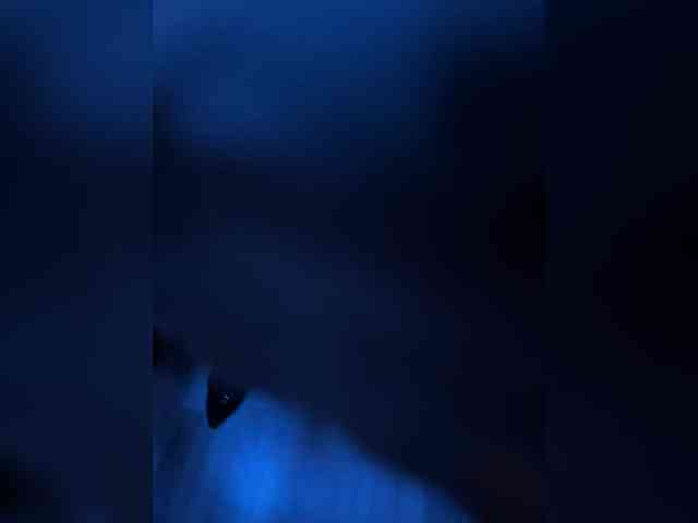 Perverse-family webcam