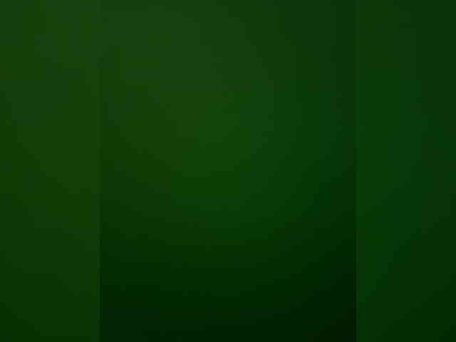 Модель: BABYam