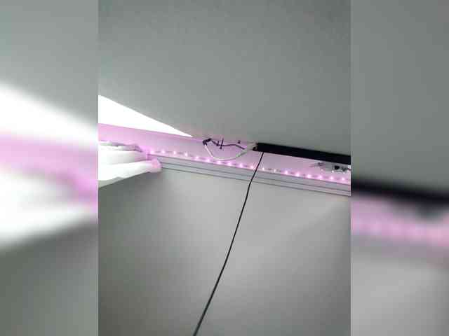 BABYam webcam