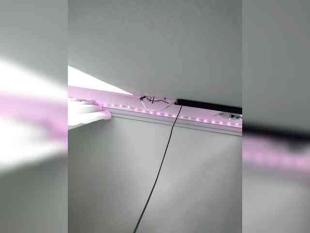 BABYam webcam