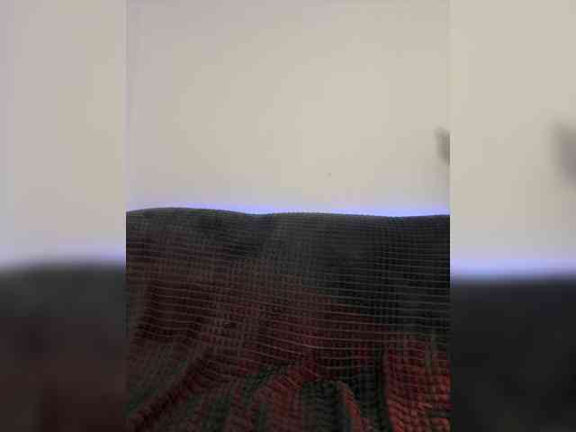 BABYam webcam