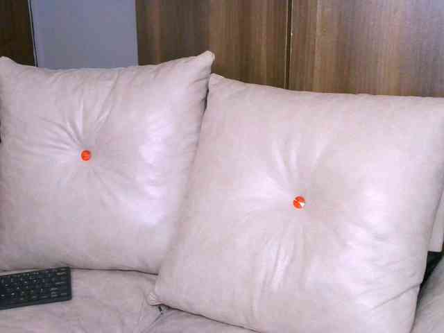 Cece-16 webcam