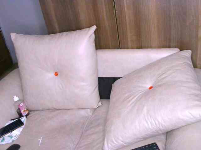 Cece-16 webcam