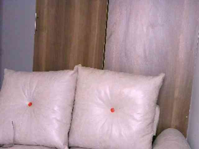 Cece-16 webcam