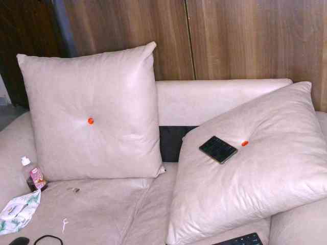 Cece-16 webcam