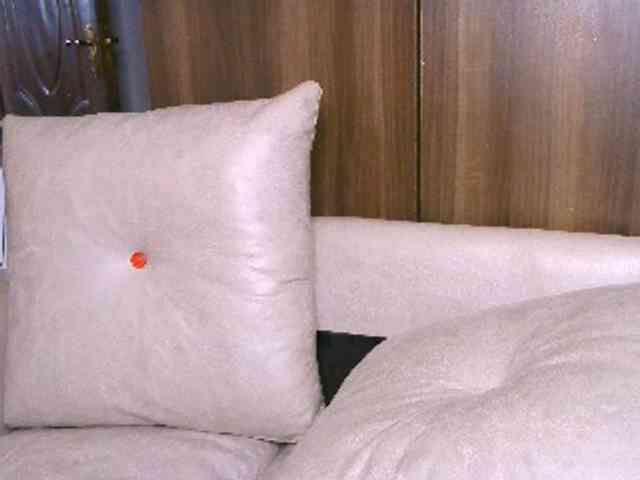 Cece-16 webcam