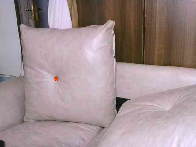 Cece-16 webcam