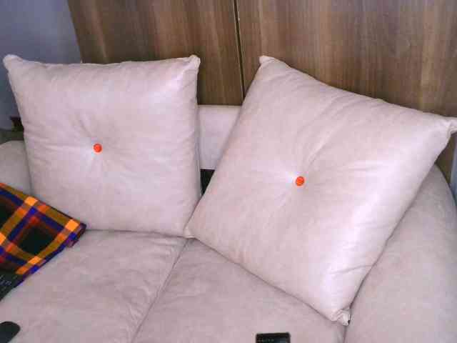 Cece-16 webcam