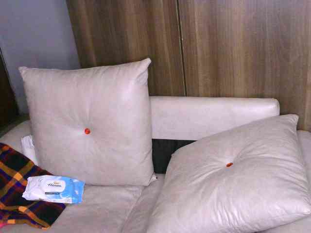 Cece-16 webcam