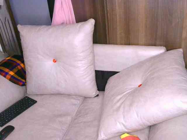 Cece-16 webcam