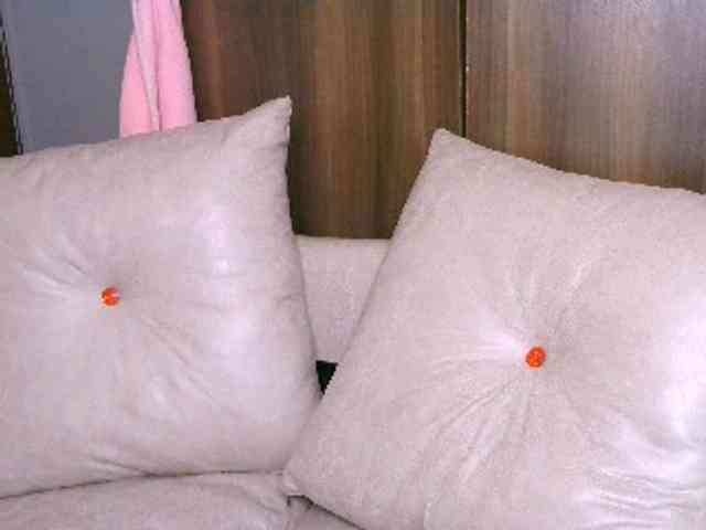 Cece-16 Cece-16