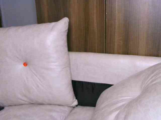 Cece-16 webcam