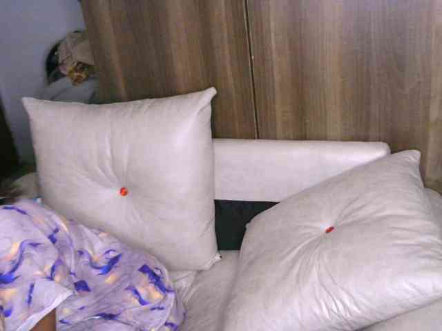 Cece-16 webcam