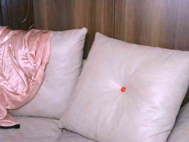Cece-16 webcam