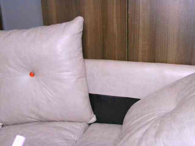 Cece-16 webcam