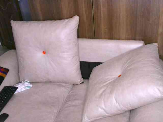 Cece-16 webcam