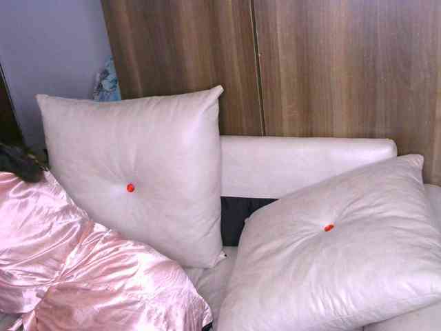 Cece-16 webcam
