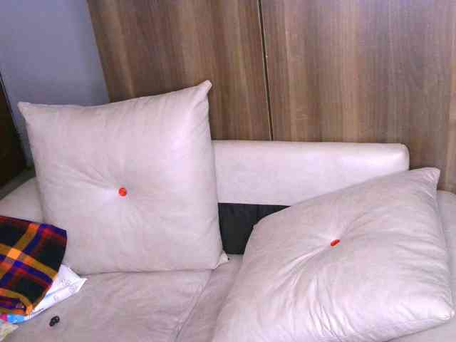 Cece-16 webcam