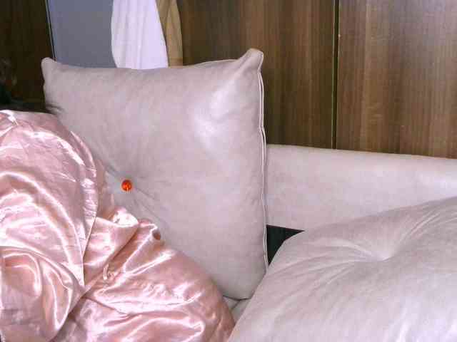 Cece-16 webcam