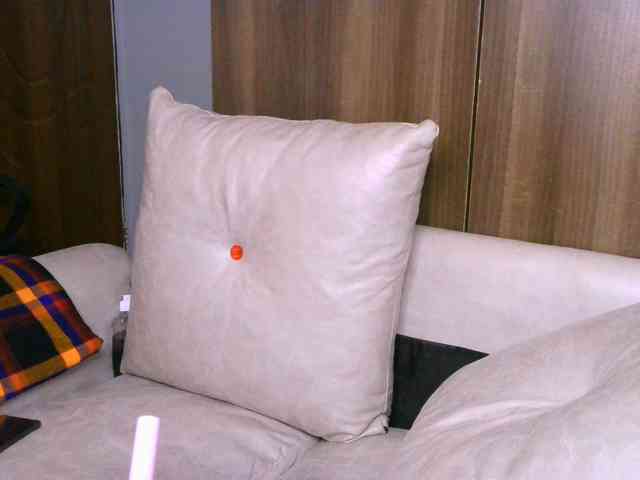 Cece-16 webcam
